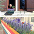 10 Bundles Fake Flowers Artificial Lavender Faux Plastic Plants Purple Flowers for Home Decor Wedding Kitchen Garden Patio Porch Window Box Office...