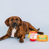 Fringe Studio Plush Dog Toy Set with Treat Pockets for Interactive Play, Nothin’ But Noodles, 2 Piece Set, Pet Shop Collection (124011)...