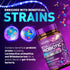 80 Billion CFU Probiotic - Daily Digestive Gut Health Supplement for Men & Women - Lactobacillus acidophilus, Bifidobacterium & Prebiotics - Non-G...