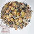 500-600 Pieces Variou Size Resin Buttons Various Shapes Variou Color Sewing Craft Kids Handmade Button Painting DIY Ornament with 60" Long Soft Ru...