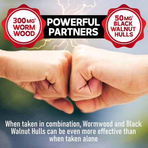 Wormwood Capsules with 12 Herbs Blended Black Walnut Leaves, Ginger Root, Turmeric Curcumin Root, Black Pepper & More - Support Digestion Health, ...