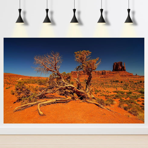 Reptile Habitat Background Desert Canyon Gig Stones Gobi Background Monument Valley Terrarium Background Old Tree Desert Tank Wallpaper Aquarium B...