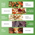 8 Pieces Premium Non Stick Silicone Dehydrator Sheets,Food Fruit Dehydrator Mats Reusable Steamer Mesh Mat for Fruit Food Dryer Mats Square 12.6 *...