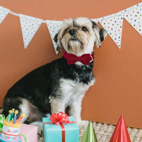 Wine Red Dog Collars for Small Dog,Cute Corduroy Dog Collar with Bow Tie Safety Metal Buckle Adjustable Puppy Collars for Small Medium Large Boy&G...