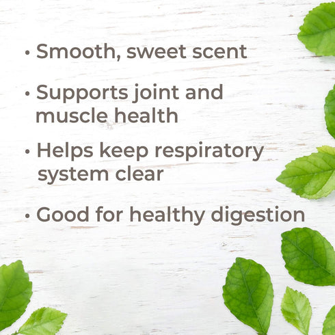 Plant Therapy Copaiba Oleoresin 10 mL (1/3 oz) 100% Pure, Undiluted, Therapeutic Grade...