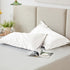 Love's cabin Satin Pillowcase for Hair and Skin, Similar to Silk Pillow Cases for Women, Pillow Case Queen Size Set of 2, Satin Cooling Pillow Cov...