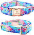 Lionheart glory Dog Collar Colorful Dog Collar Premium Collar Dogs Cute Pet Collar Gift for Small Medium Large Dog...
