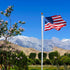 NQ Flag Pole Rope Line Kit-50FT x 1/4"Diameter Nylon Flag Pole Halyard Rope with 4 Pcs Swivel Snap Clips Hooks Fits Flagpole Up to 25FT, Outdoor F...