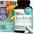Atlantic Naturals Sea Moss Capsules with Moringa, Ashwagandha, Black Seed Oil, Ginger & Ginseng – Atlantic Sea Moss Supplements for Men and Women ...