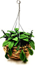 Miniature Dollhouse Plants Dollhouse Furniture and Accessories Hanging Plant Pot Model 1 12 Scale...