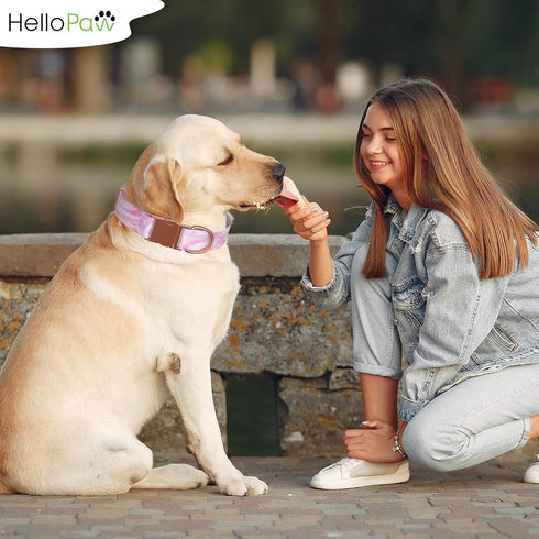 Pink with Rose Gold - Premium Nylon Dog Collar with Metal Buckle - Vibrant Colors and Beautiful Designs - Adjustable Collars for Small Medium Larg...