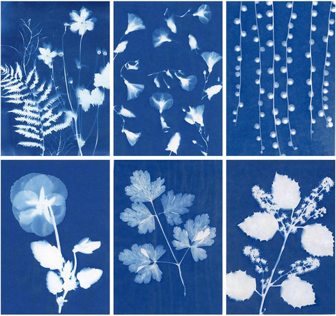 32 Sheets Sun Print Paper Cyanotype Paper Kit, A5 Sun Art Paper With 1 Plastic Tool for Sun Printing, Light Sensitive Solar Photography Paper for ...