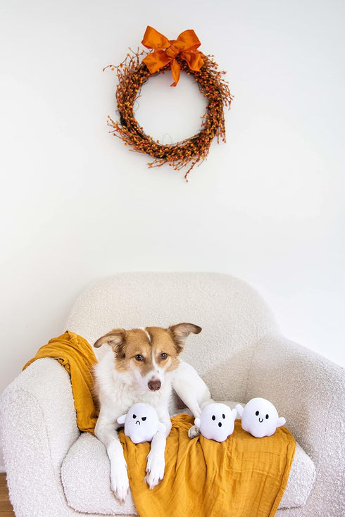 Pearhead Plush Squeaky Ghost Dog Toys, Halloween Stuffed Pet Toy, Dog Owner Must Have Accessories, Spooky Ghosts Fall Dog Toys, Set of 3...
