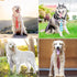Segarty 30 PCS Dog Neckties, Adjustable Dog Ties Dog Neck Ties and Bows for Medium Large Dog Festival Formal Bulk Pet Bowties Collar Grooming Dogs...