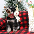 Christmas Dog Collar with Flower, Christmas Flower Collar for Puppy Girl Boy Dog or Cat, Comfortable Dog Collar Flower with Durable Metal Buckle, ...