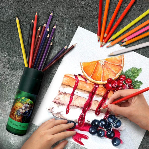 YOOUSOO Colouring Pencils, 24 Pcs Professional Coloured Pencils Drawing Pencils, Oil-based Artist Pencil Set, No Wax, Ideal for Sketching, Doodlin...