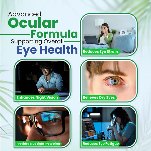 Vision Support Eye Vitamins for Macular Health | Eye Care Supplements with Lutein, Zinc, Vitamin A & Bilberry | Areds 2 Formula for Red & Dry Eyes...
