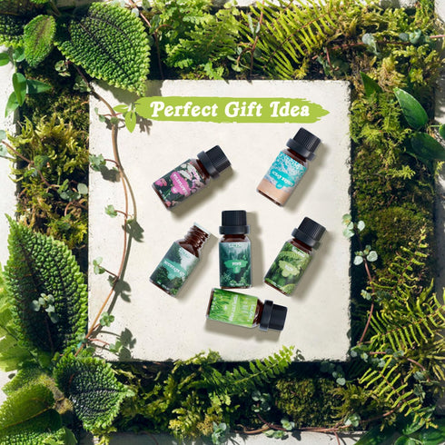 SALKING Nature Fragrance Oils, Premium Essential Oil for Diffuser, Scented Oil Gift Set for Soap Candle Making - Pine, Ocean Breeze, Rain, Fresh C...