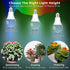 Grow Light Bulbs for Indoor Plants Full Spectrum E26 A19 10W,Grow LED Light Bulb with Balanced Spectrum 5000K-Blue-Red for Seeds Greens Laboratory...