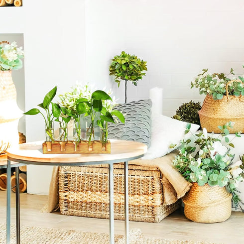 Plant Propagation Station, Plant Terrarium with Wooden Stand for Hydroponics Plants Office Decor Unique Gardening Gifts for Women Plant Lovers - 5...