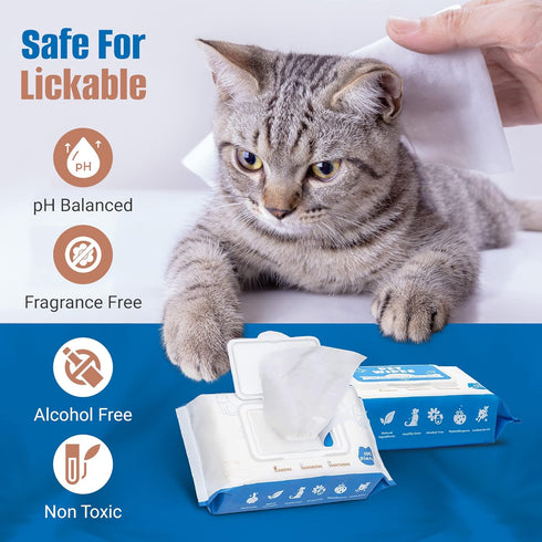 Pet Wipes for Dogs 100Pcs/1Pack – Unscented Dog Wipes with Vitamin E, Chamomile – Gentle Cat Wipes Ideal for Muddy Paws, Face, Dog Eye Wipes, Dog ...