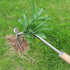 Hand Weeder Tool Weed Puller Tool Uprooting Weeding Tool, Stainless Steel Forged Weed Puller 4 Teeth Dual Heads Weeder Weeding Rake, Garden Tool f...