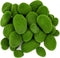 Nicunom 50 Pcs 5 Size Artificial Moss Rocks Decorative, Faux Green Moss Decor Balls for Floral Arrangements, Fairy Gardens and Crafting...