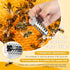 9 Pieces Queen Bee Marking Kit Including 5 Color Queen Marker Pens 1 Marking Bottle 3 Marking Clips for Beekeeping Supplies Beekeeper Marking Tool...