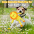 Dog Squeaky Plush Toy, Soft Stuffed Lion Toys with Squeaker & Crinkle Paper, Durable Interactive Chew Pet Supplies for Puppies, Cute Animal Toys f...
