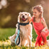 Short Dog Leash-12 Inch Traffic dog leash,Training Leash with Retroreflective Stripes and Carabiner Clip,Suitable for controlling and training med...
