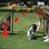 Yard Flags, 4x5x13.8 inch PVC Marking Flags for Lawn, Garden Flags, Survey Flags, Dog Fence Flags,50 Pcs Boundary Marker Flags, Landscape Flags, I...