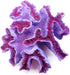 Aquarium Coral Ornaments Decor Fish Tank Plants Decoration for Aquarium Landscape,Purple...