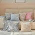 FY FIBER HOUSE Leopard Print Pillow Cover 18 x18 Flannel Fleece Throw Pillow Cases Covers for Couch Bed Sofa Set of 2, Blue...