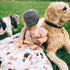 Little Unicorn – Woof Cotton Muslin Swaddle Blanket | Single | 100% Cotton | Super Soft | Newborns and Infants | Large 47” x 47” | Machine Washabl...
