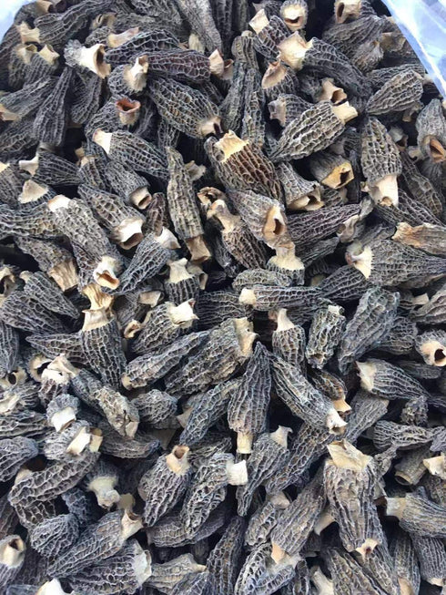 Dried Morel Mushrooms (Morchella Conica) (2oz)...