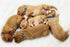 16 PCS Puppy Collars, Safety Buckle Puppy Collars for Litter Nylon Adjustable Puppy Collars for Small Puppies, Breakaway Puppy ID Collars Whelping...
