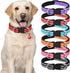 AUAUY Reflective Nylon Dog Collars, Adjustable Classic Pet Collars with Soft Neoprene Padding, Double Security Dual D-Ring and Quick Release Buckl...