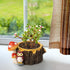 Owl Succulent Planters Flower Plant Pots for Plants with Drainage Hole?Planter Pots for Indoor Plants/Succulent/Cactus,Indoor Planter for Home Off...