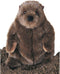 Douglas Chuckwood Groundhog Woodchuck Plush Stuffed Animal...