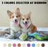 Nocciola Gummy Bear Dog Toys with a Bag, Plush Squeaky Dog Toy Set,Cute Stuffed Dog Chew Toys, for Small to Medium Dogs...
