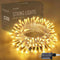 66ft 200 LED Warm White Christmas String Lights - Twinkle Lights for Indoor and Outdoor Tree Decorations, Bedroom and Living Room Ambiance Lightin...