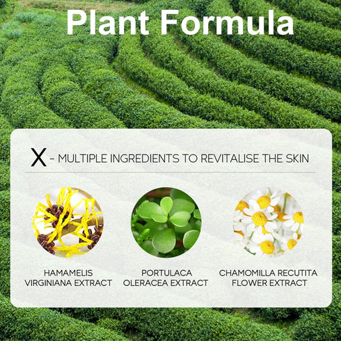 Face Care Set for Women, Green Tea Skin Care Set, 7Pcs Skin Care Products with Toner, Serum, Face Cream, Eye Cream Cleanser, Sleep Mask, Moisturiz...