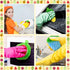 10 Pieces Fruit Dish Scrubber Non Scratch Cleaning Sponge Double Layered Dish Sponge No Odor Kitchen Sponge Net Dish Cloths for Washing Dishes for...