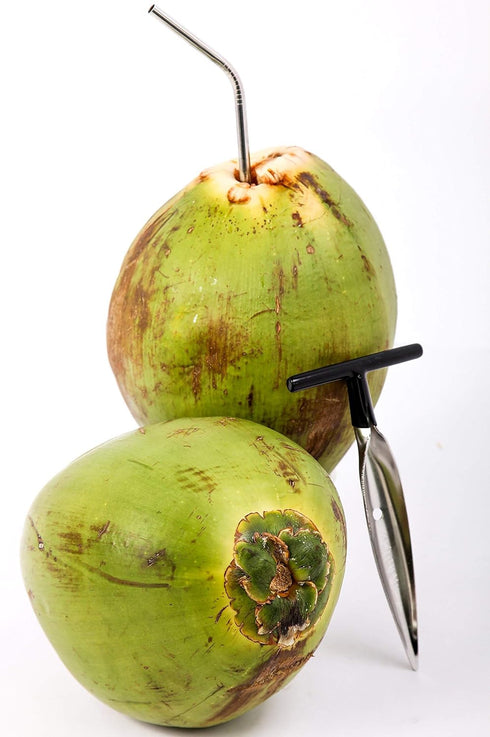2 qty - Ken's CocoMon Coconut Opener Tool for Fresh GREEN Young Fruit Black Rubber Handle EZ Easy Grip SAFE (2 CocoMons)...