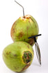 2 qty - Ken's CocoMon Coconut Opener Tool for Fresh GREEN Young Fruit Black Rubber Handle EZ Easy Grip SAFE (2 CocoMons)...