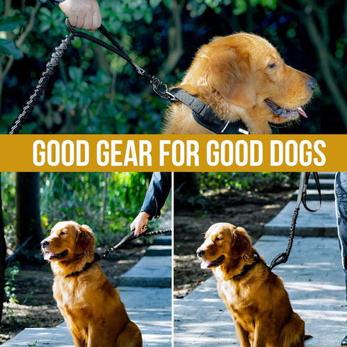 OneTigris 6ft Dog Leash, Heavy Duty Leash with 2 Padded Handle – Pet Training Lead with Reflective Double Handle for Traffic Control Safety, Perfe...