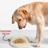 DogBuddy Dog Food Mat - Waterproof Dog Bowl Mat, Silicone Dog Mat for Food and Water, Pet Food Mat with Edges, Nonslip Dog Feeding Mat, Dog Food M...