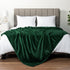 PAVILIA Fleece Blanket King Size | Super Soft, Plush, Luxury Flannel Throw | Lightweight Microfiber Blanket for Sofa Couch Bed (Emerald Green, 90x...