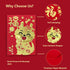 36Pcs Red Envelopes Chinese New Year of The Dragon, Lunar Chinese New Year Red Envelopes 2024, Lucky Money Red Packets Hong Bao with 6 Cute Gold F...