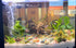 Artificial Fish Tank Plants Silk Aquarium Plastic Plant Aquatic Water Grass Foreground Decor (2PCS Plastic Plants)...
